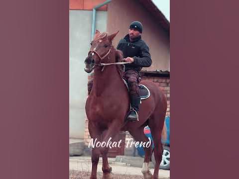 Капитан - YouTube