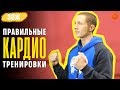 Как БЕЗОПАСНО проводить КАРДИО тренировки? ✅ ЗОЖ с Денисом Мининым (COMFY)