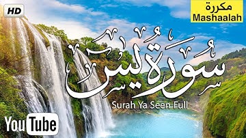 سورة ياسين ( یس) كامله | تلاوة هادئة تريح الاعصاب 💚القران الكريم💚 بصوت جميل جدا Surah Yasin (Yaseen)