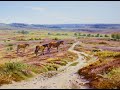 The new forest paintings by richard tratt