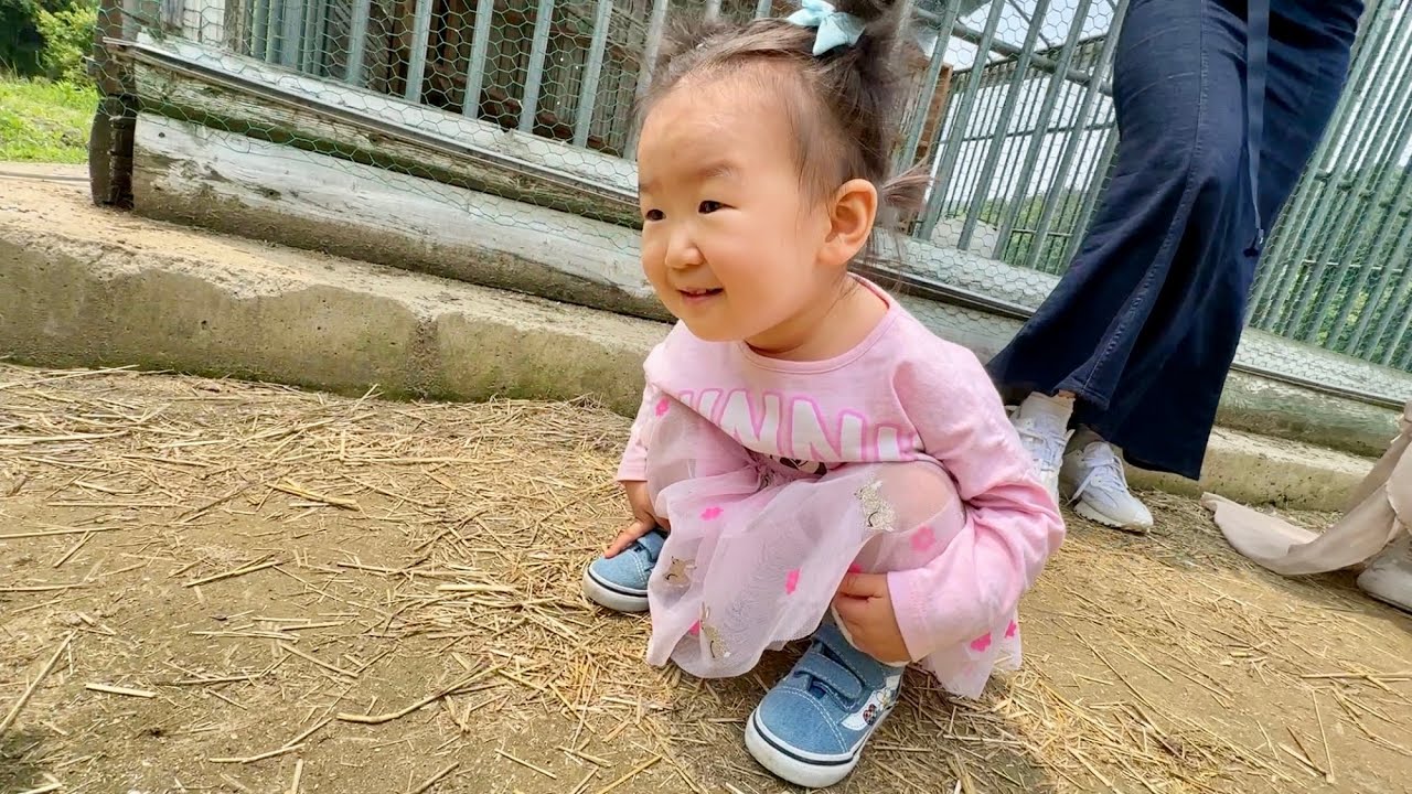 [Danalog] 양떼목장 나들이