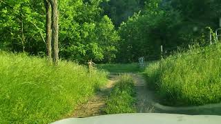 311 Friday Afternoon Track While Driving