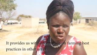 Agriculture e-Extension in Zimbabwe-Kurima Mari Mobile Application and SMS Extension