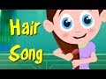 Hair Song | Schoolies Compilation Of Video For Toddlers | Shows For Babies by Kids Channel