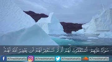أحمد الشافعي | سورة المنافقون  💙 🌸