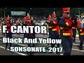 Pedro f cantor  black and yellow  sonsonate 2017