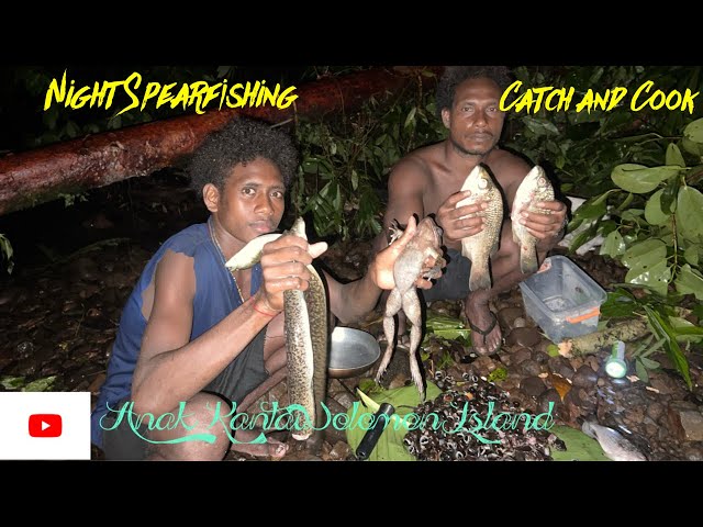 Menyelam di Sungai Kepulauan Solomon Island//Mencari Siput Sungai dan Katak Hutan// class=