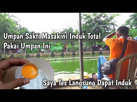 Video: Cara Membuat Umpan 