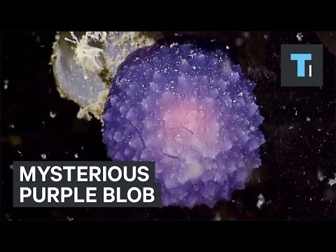 Video: Mysterious Purple Spots Of Mars - Alternative View