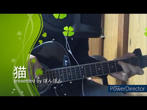 【初心者ギターと歌】ギターを始めて127日目　DISH//「猫」