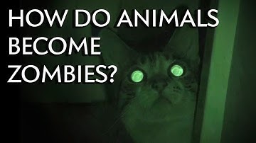 How Do Animals Become Zombies? - Instant Egghead #26