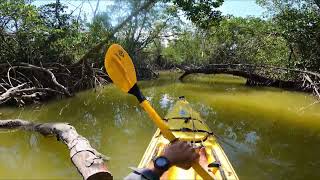 Kayak Fishing in West Lake,  Everglades National Park