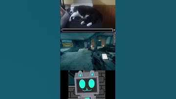 Like A Civilized Person | The Entropy Centre with the Cats #shorts