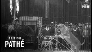 Girl Bosses Lion 1963