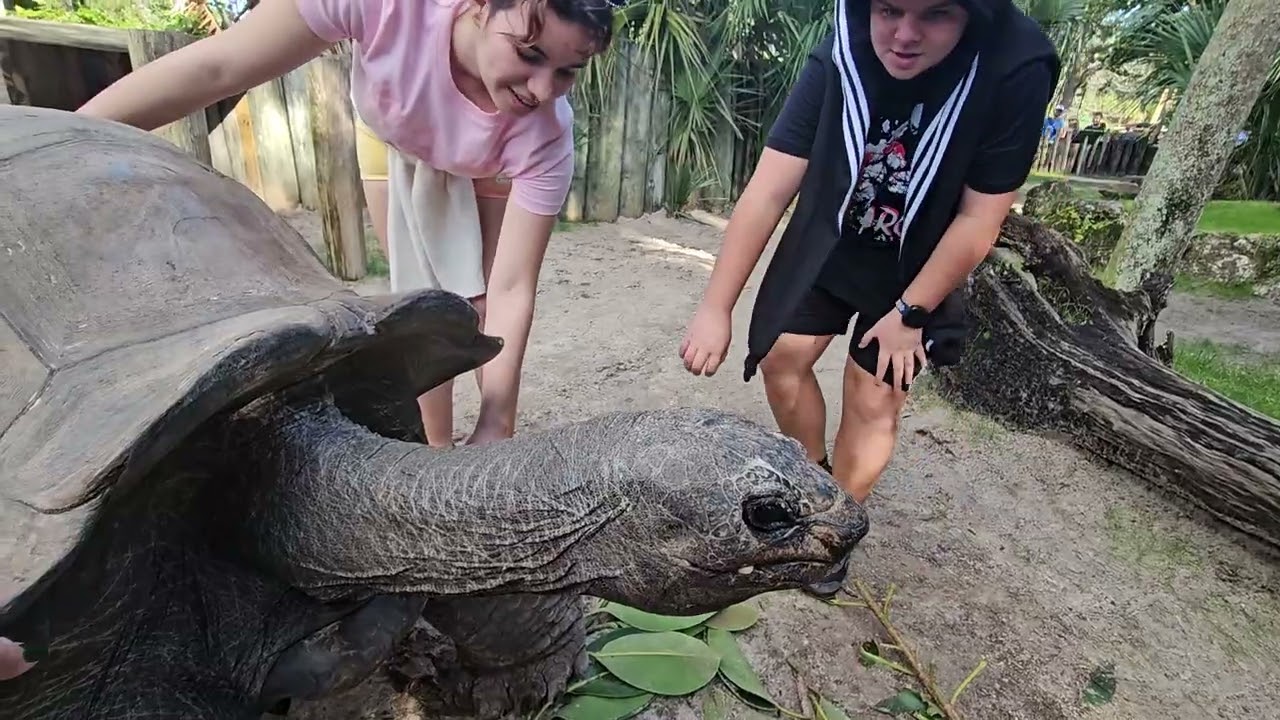 Visiting with the Tortoises at Busch Gardens