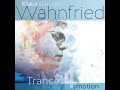 Klaus schulzes wahnfried  trance 4 motion 2018