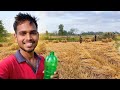Gaon me Gehu ki Katai 🌾 | Family ke saath ek din