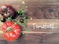 How To Grow Tomatoes In Containers | IN BETH'S GARDEN