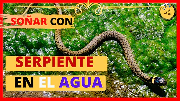 ¿Qué significa que una serpiente vomite agua?