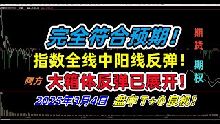 250304指数全线反弹！见证历史！预测再次应验完全符合预期！大箱体反弹已经展开！T＋0每天赚大钱！阿方巅峰技术揭秘大盘走势！协助学员持仓分析|300节核心技术精品课限期优惠！#股票#期货#美股#期权