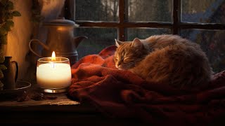 Relaxing With Purring Cat, Heavy Rain And Thunder Deep Sleep In Cozy Ambience, Stress Relief