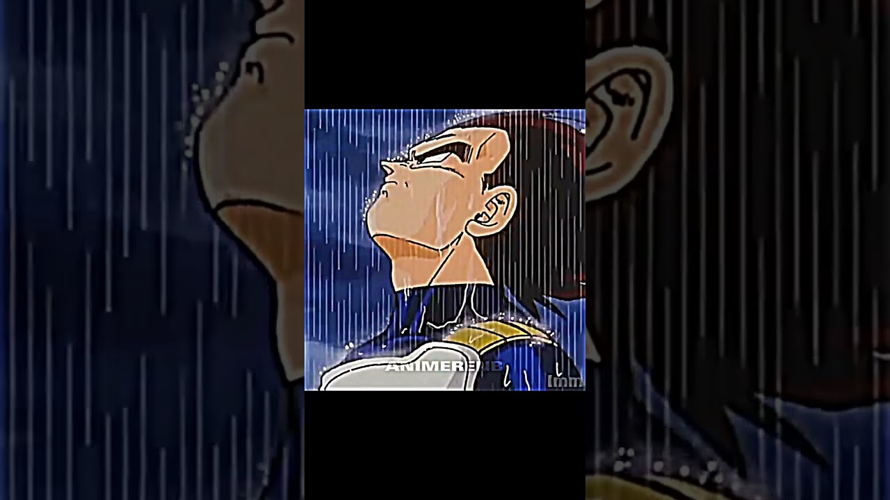 Vegeta Rain Edit |