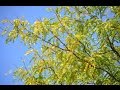 森山直太朗＜愛し君へ＞