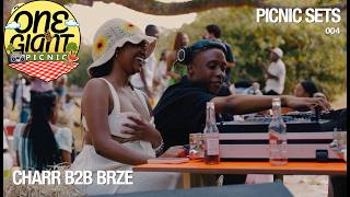 Charr B2B BRZE Private School Amapiano DJ Set Live at One Giant Picnic