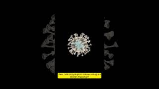 Akşemseddin Mikrobiyolojinin Babası