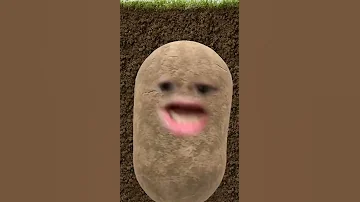 بطاطا مضحك 