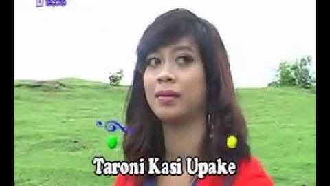 LAGU BUGIS GALAU - CICCING PASSI