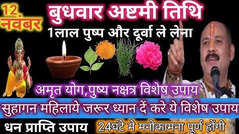 12 नवंबर बुधवार अष्टमी तिथि को दूर्वा और लाल पुष्प वाला उपाय जरुर करें || Pradeep Ji Mishra #upay​ 