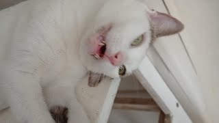 Shabbat Shalom From Eilat Israel 251025