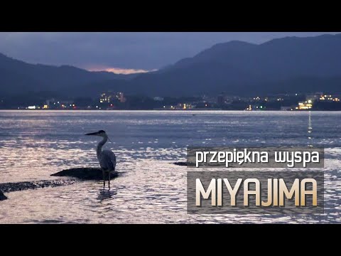 Wideo: Najlepsze atrakcje w Miyajima