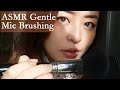 [ENG] ASMR | Gentle Mic Brushing 🎙 positive affirmations