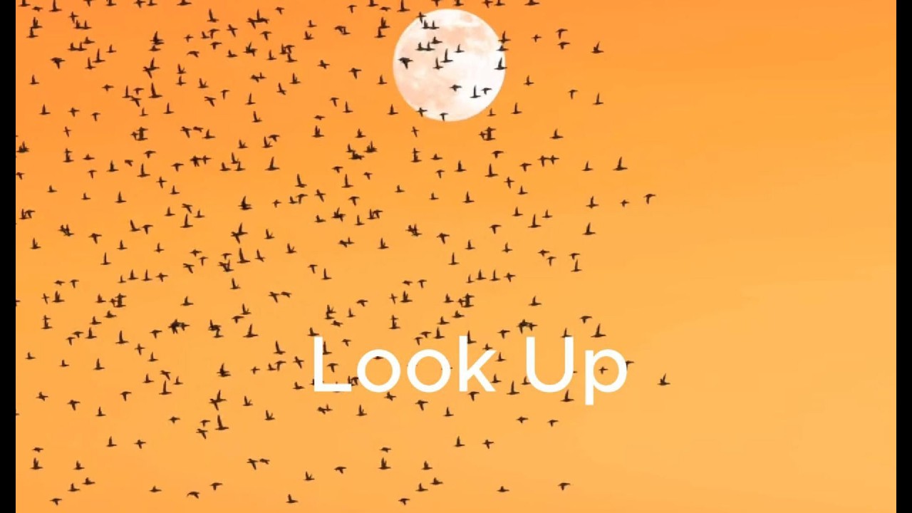 Look Up (From the Pondering Eternity series)