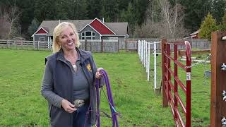 HOW TO CATCH AND LEAD A HORSE SAFELY