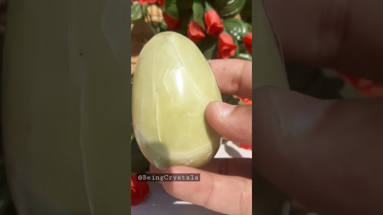 SERPENTINE EGG 