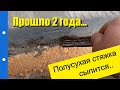 Полусухая стяжка. Рыхлая структура