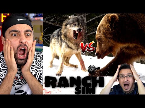 KURT VS AYI VS İNEK 😱 ATIMA EMJAN İSMİNİ VERDİM ! RANCH SİMULATOR