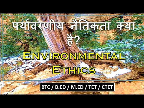 वीडियो: पर्यावरण नैतिकता: अवधारणा, बुनियादी सिद्धांत, समस्याएं