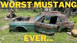 I bought the worst Mustang EVER. Here is what happened to it...