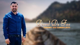 Robert din Barbulesti-DORUL DE FOC