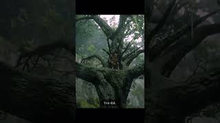 RDR2 King Of The Tree #gaming #reddeadredemtion2 #rdr2 #gameplay #games