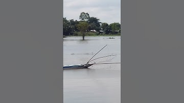 Đẩy Côn Mùa Lũ 2023#shock