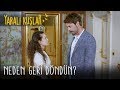Neden Geri Döndün Yaralı Kuşlar 59 Bölüm English And Spanish Subtitles Neden Geri Döndün Yaralı Kuşlar 59 Bölüm English And Spanish Subtitles