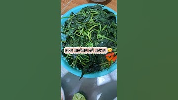 Bữa cơm đạm bạc #food #hoduyphuong #shorts