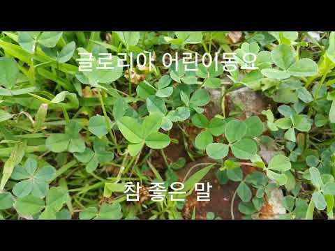 글로리아 어린이동요 - 참 좋은 말