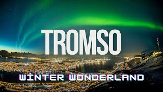 • Tromsø: A Winter Wonderland Awaits! ❄️🇳🇴