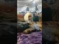 Vo Gaibi Nusrate Kaha Hain MaulanaSaadSahabBayans HazratJi Vo Gaibi Nusrate Kaha Hain MaulanaSaadSahabBayans HazratJi